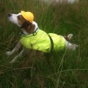 Miss Poppy and her PPE