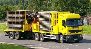 L'une des flottes de Terrafirma Roadways 